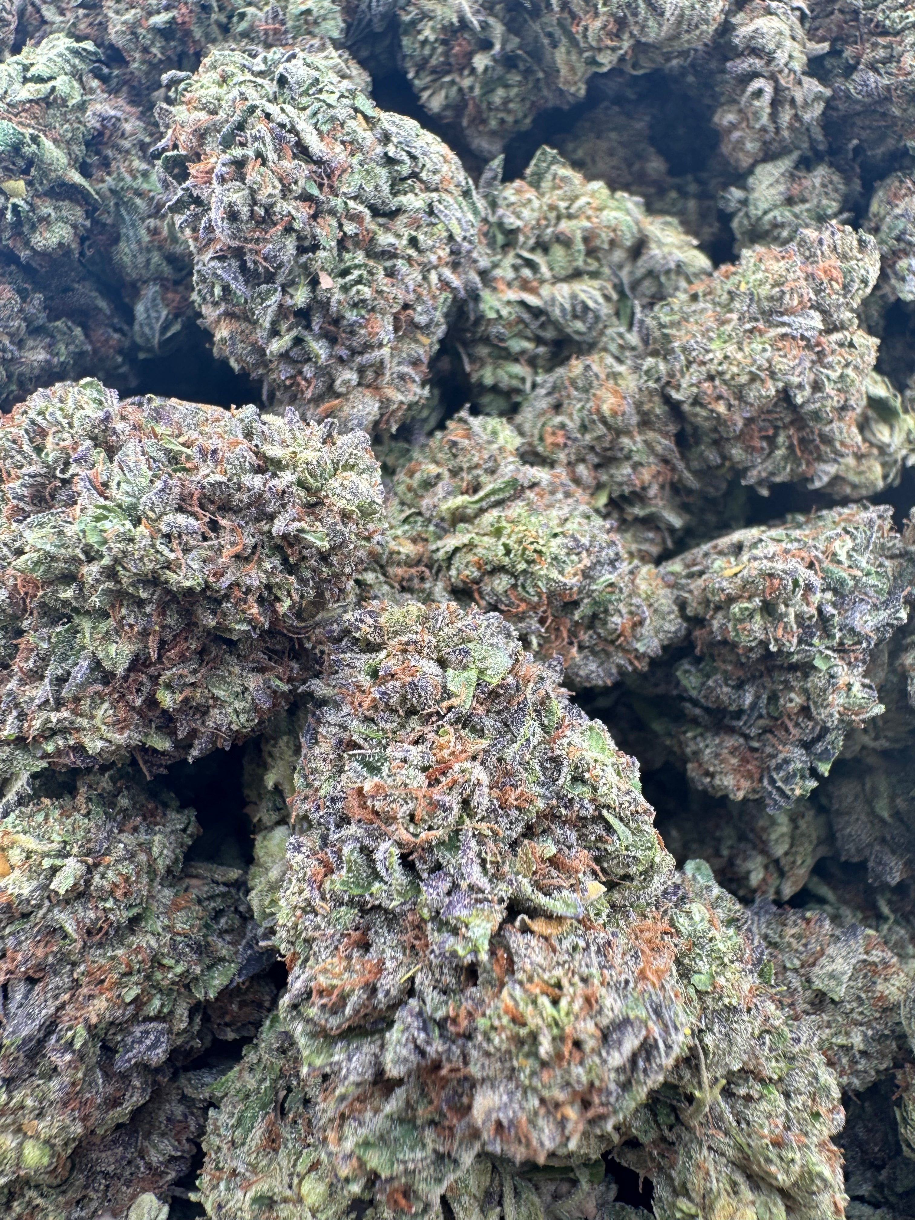 AAA Deps:Gelato 33