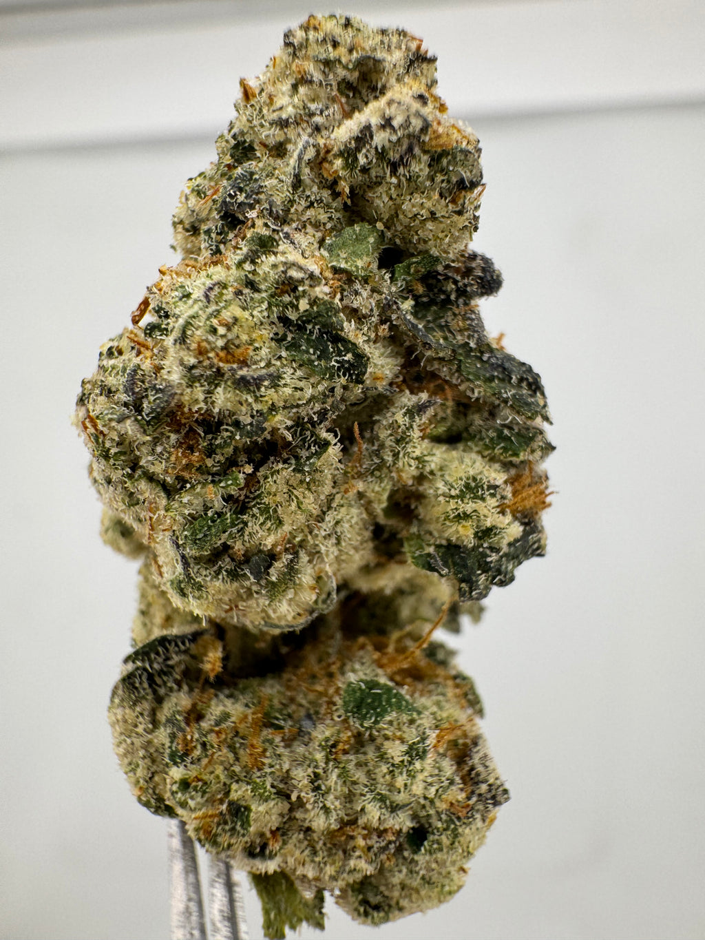 Purple Cocaine