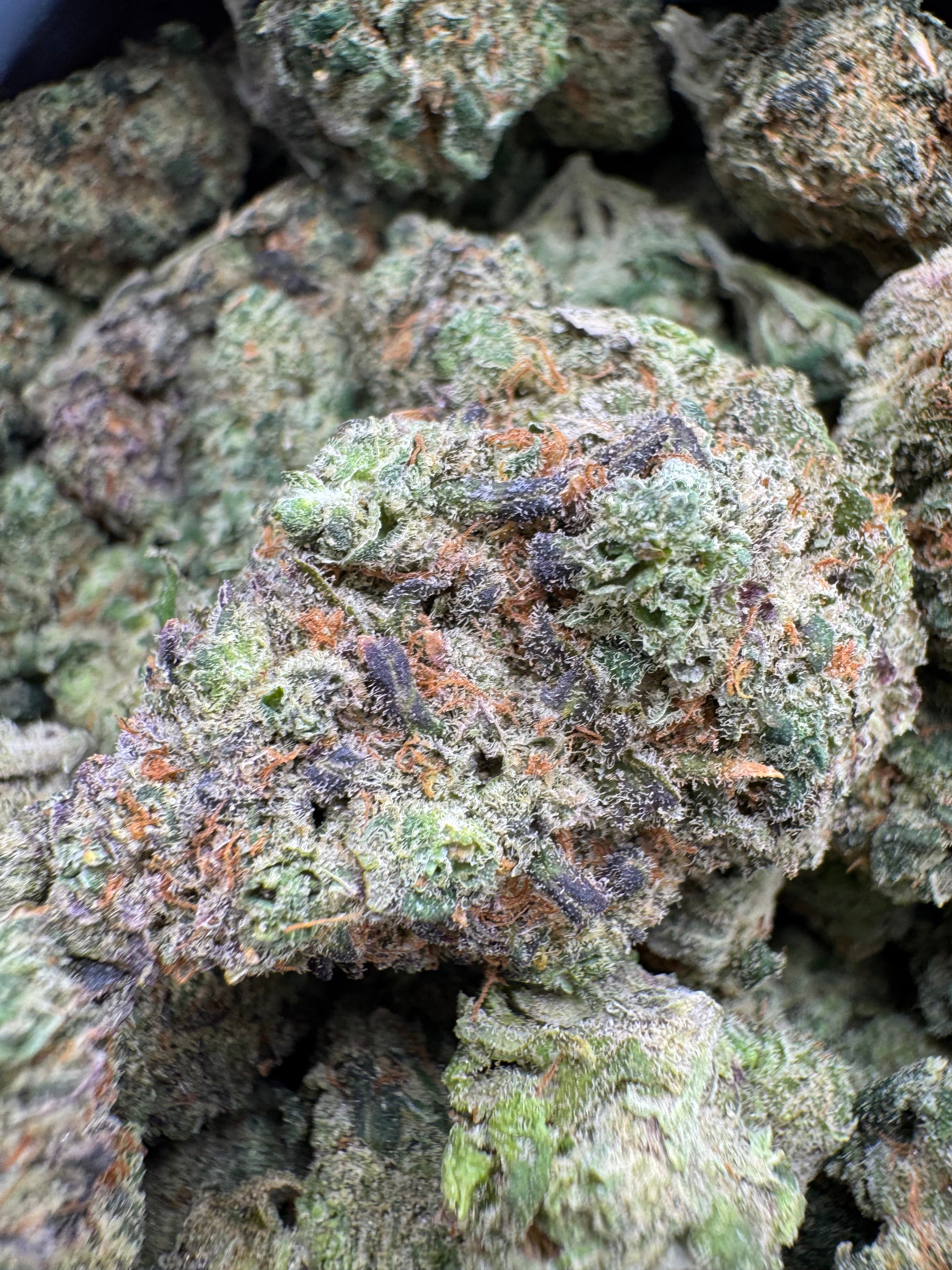 Purple urkle