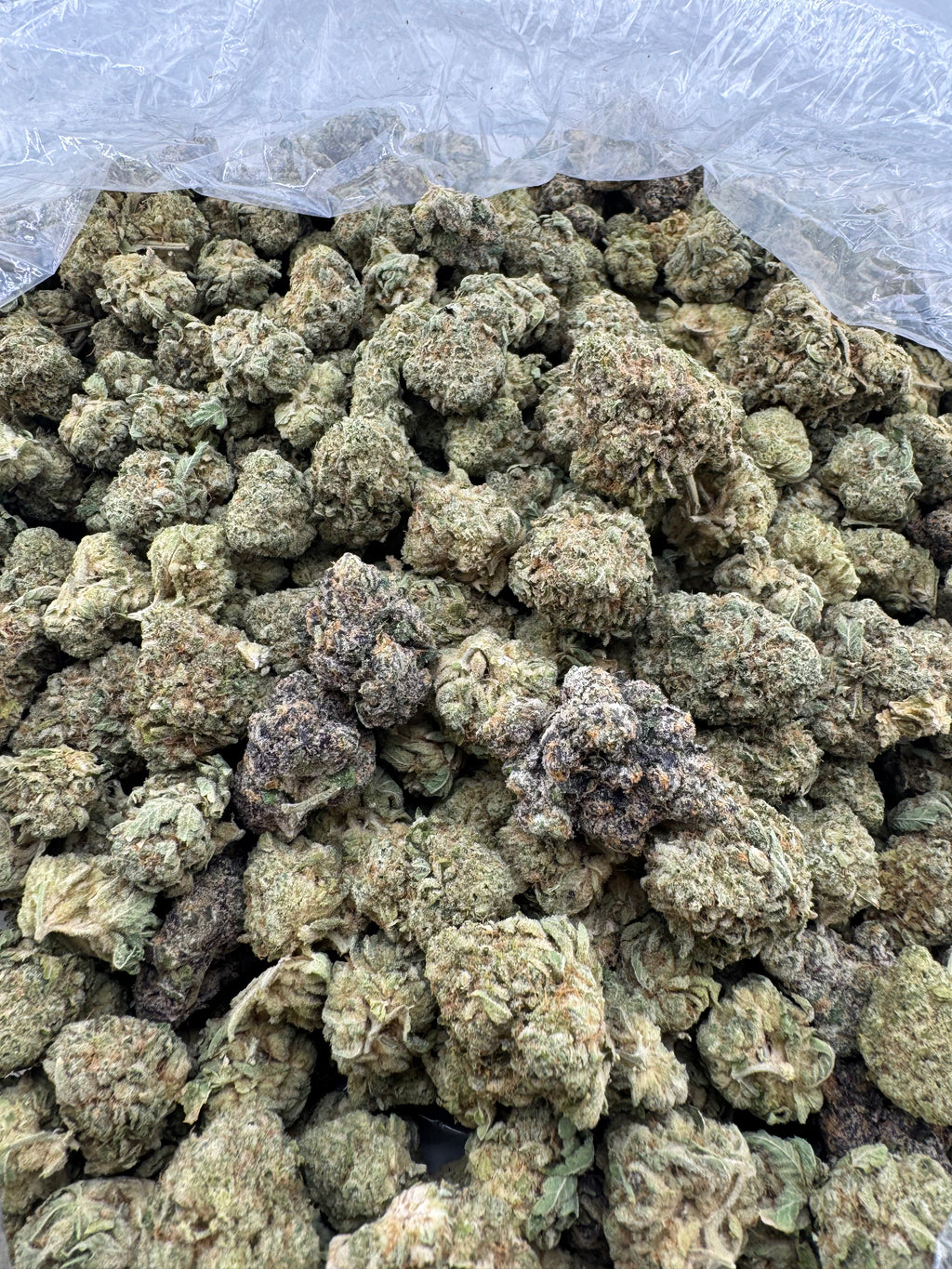Key Lime