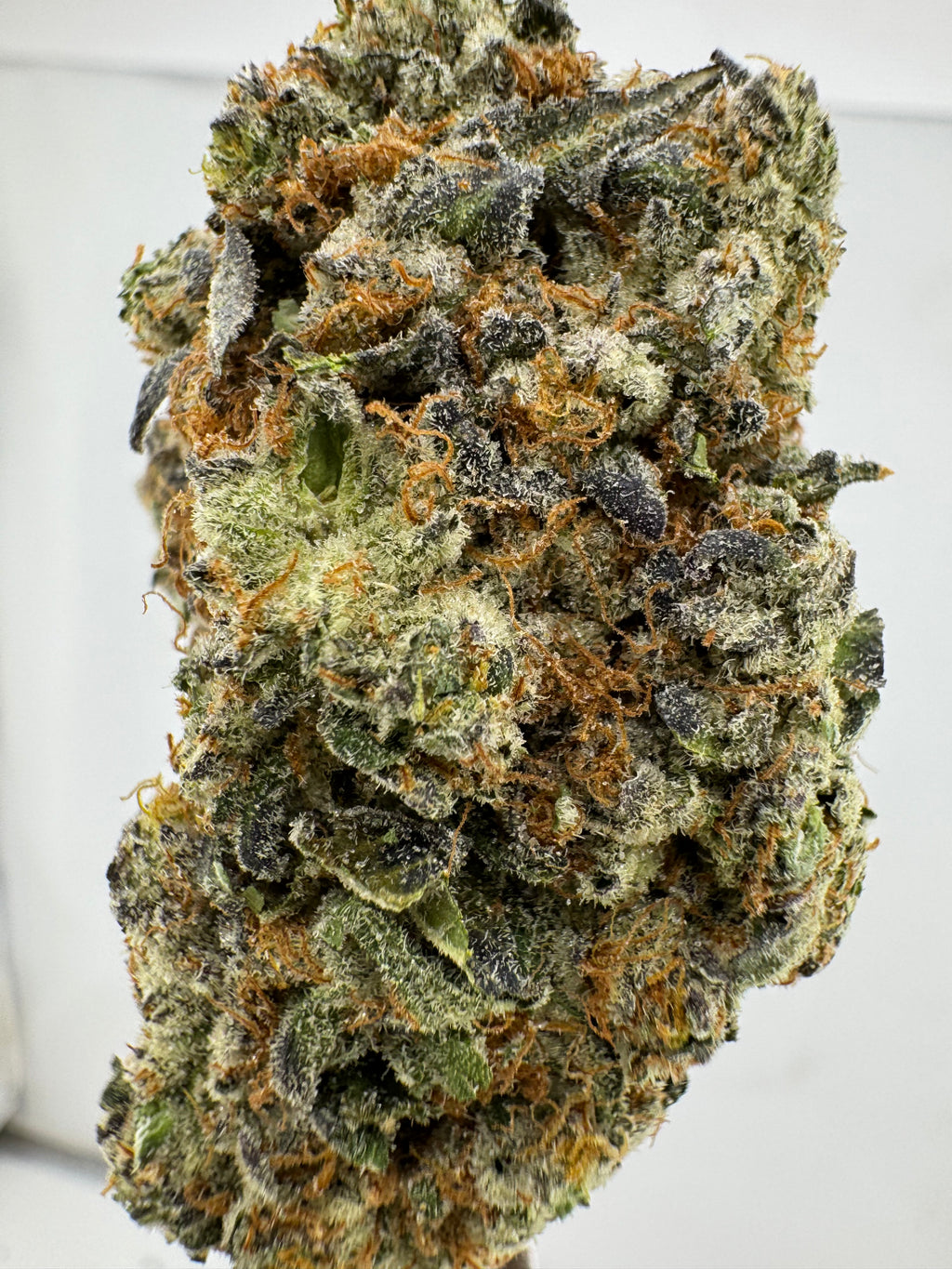 Yetti OG