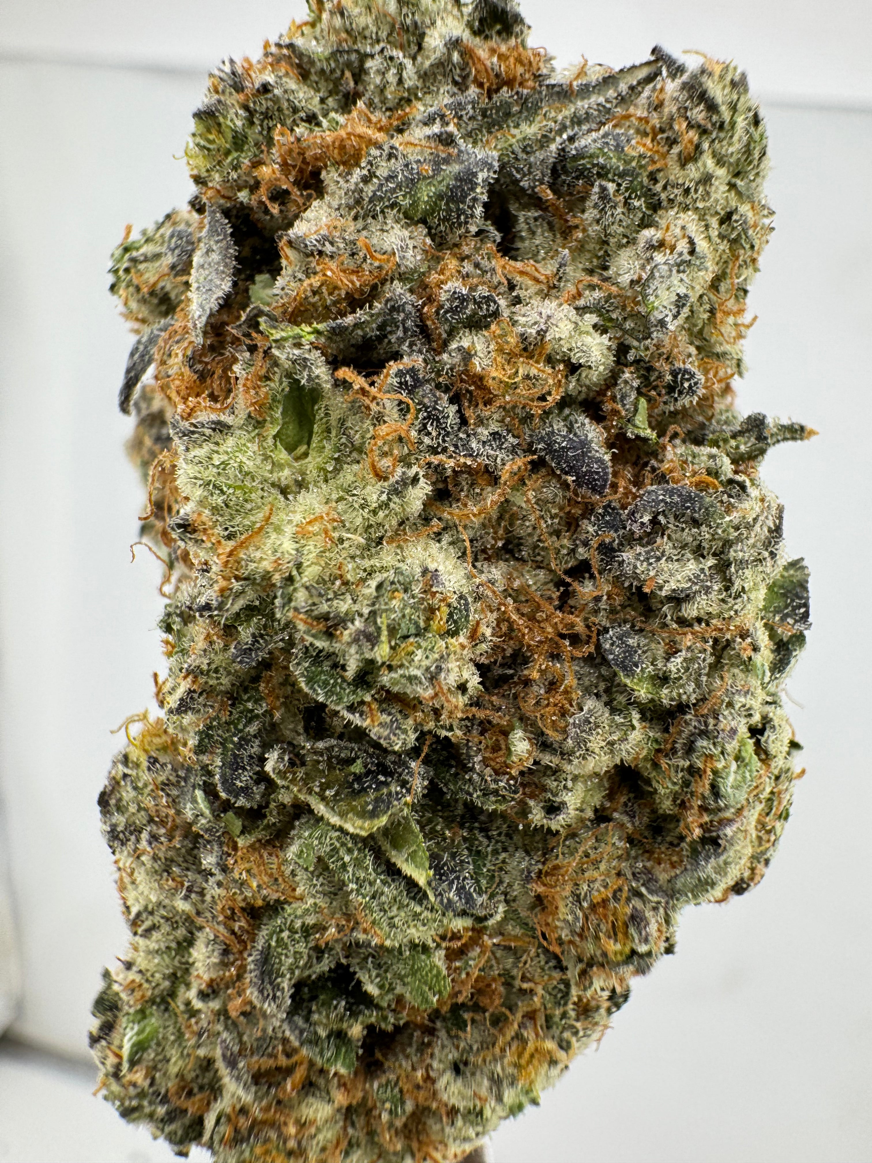 Yetti OG