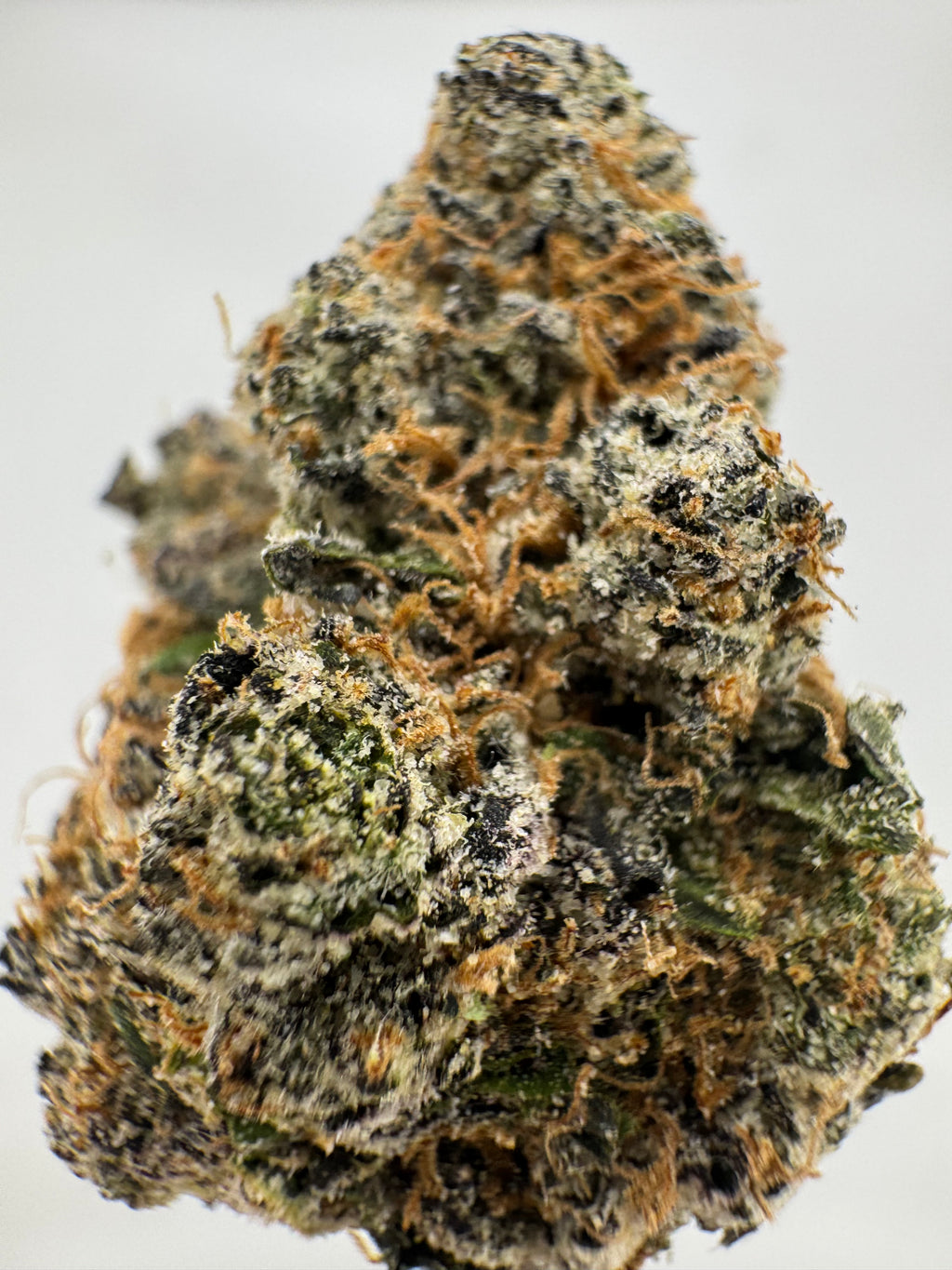 White Cherry Gelato