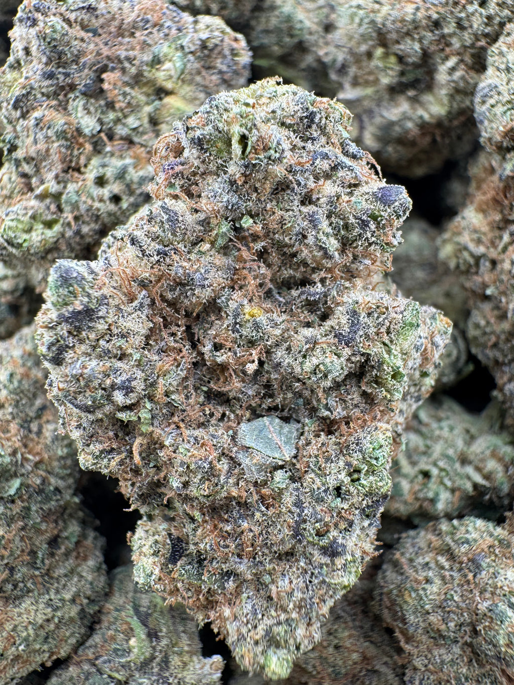Monster Cookies