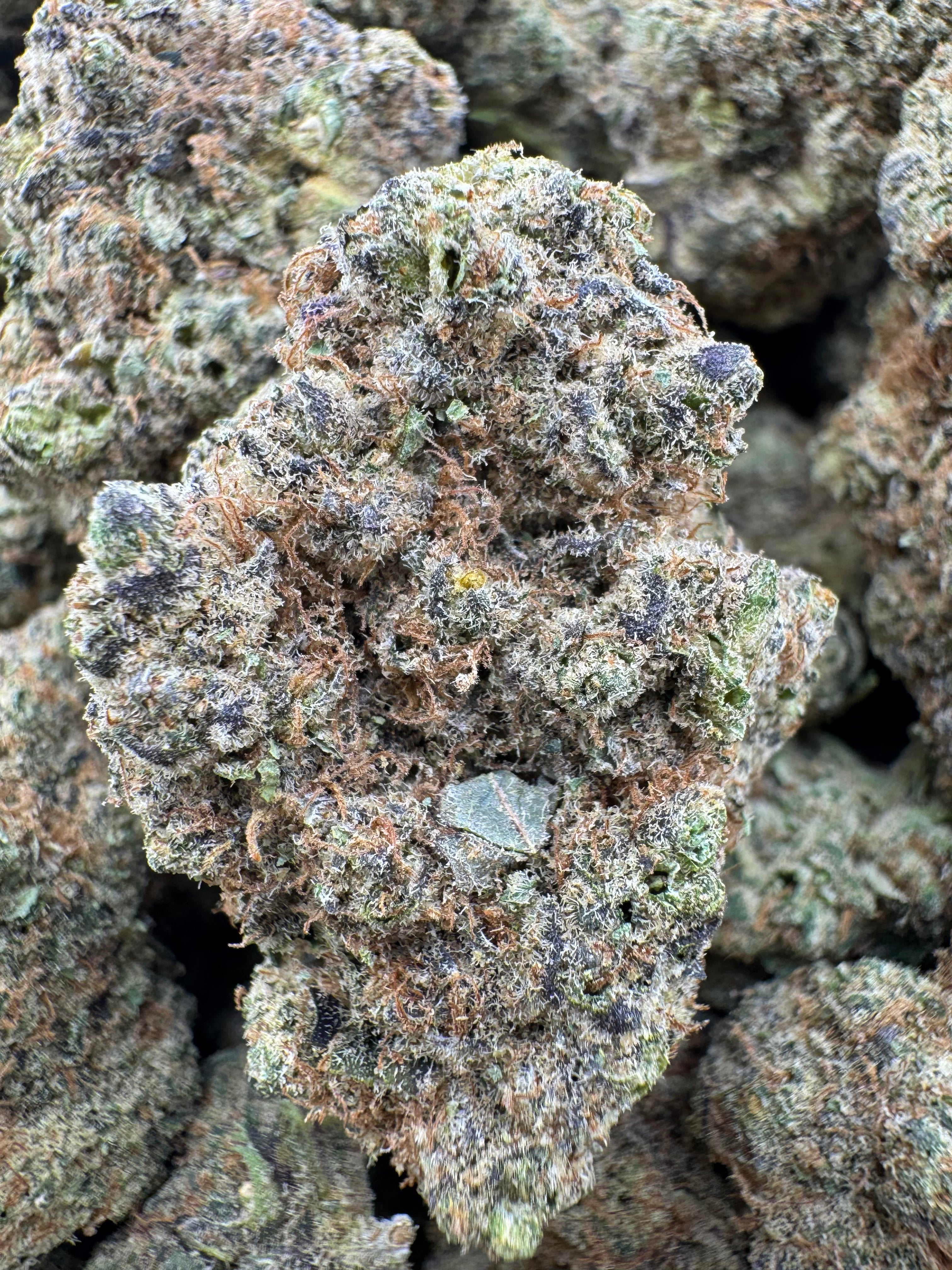 Monster Cookies