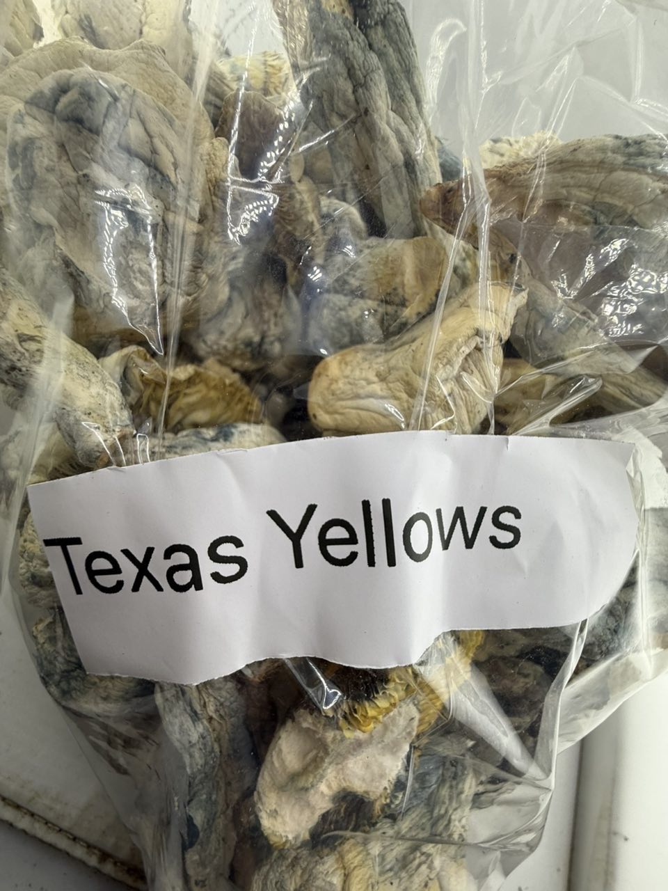Texas Yellows