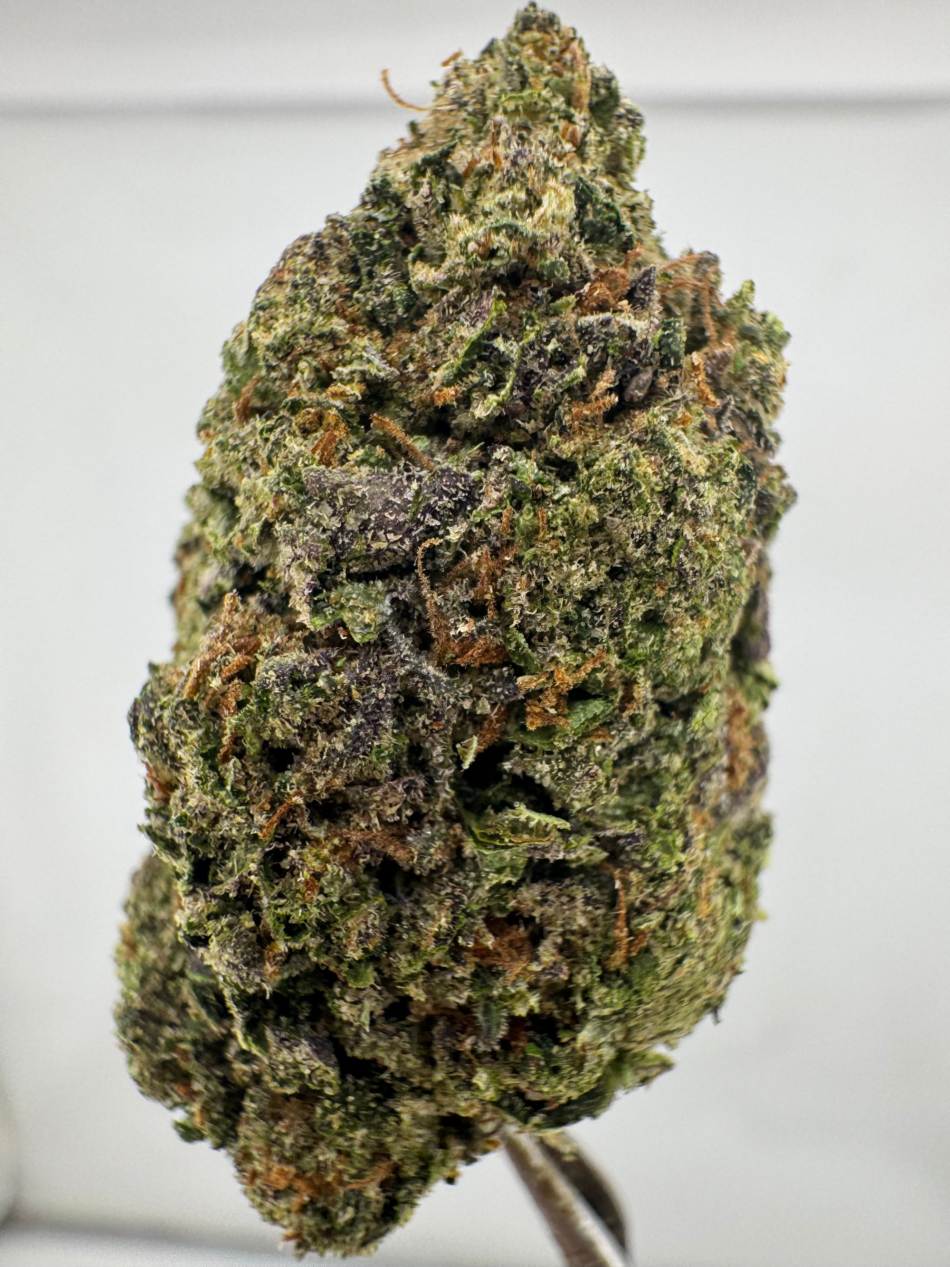 AAA Deps:Gov.Oasis