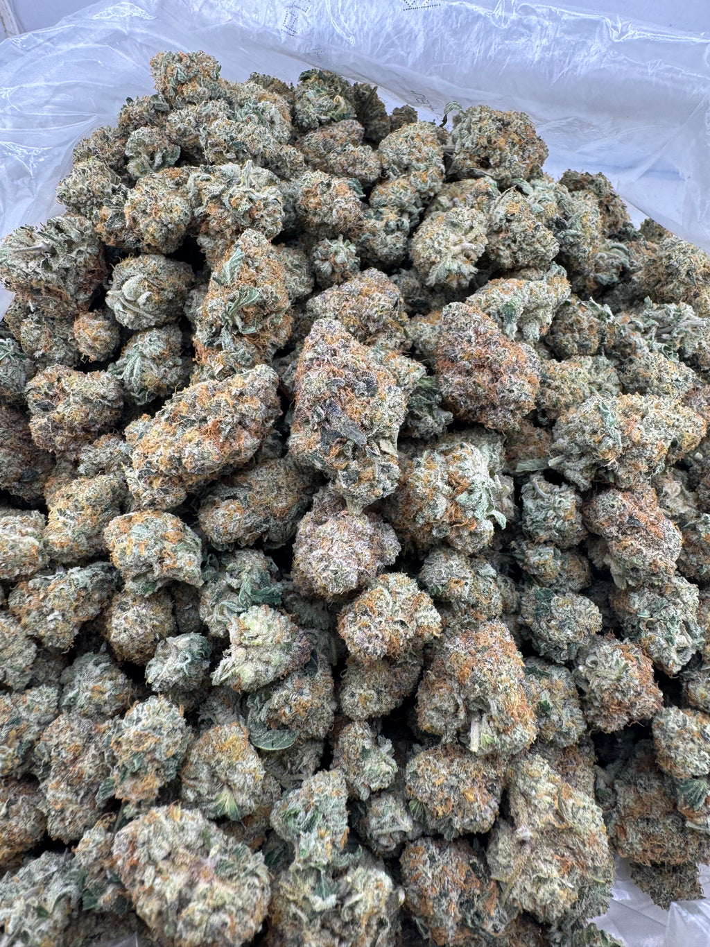 Thin Mints