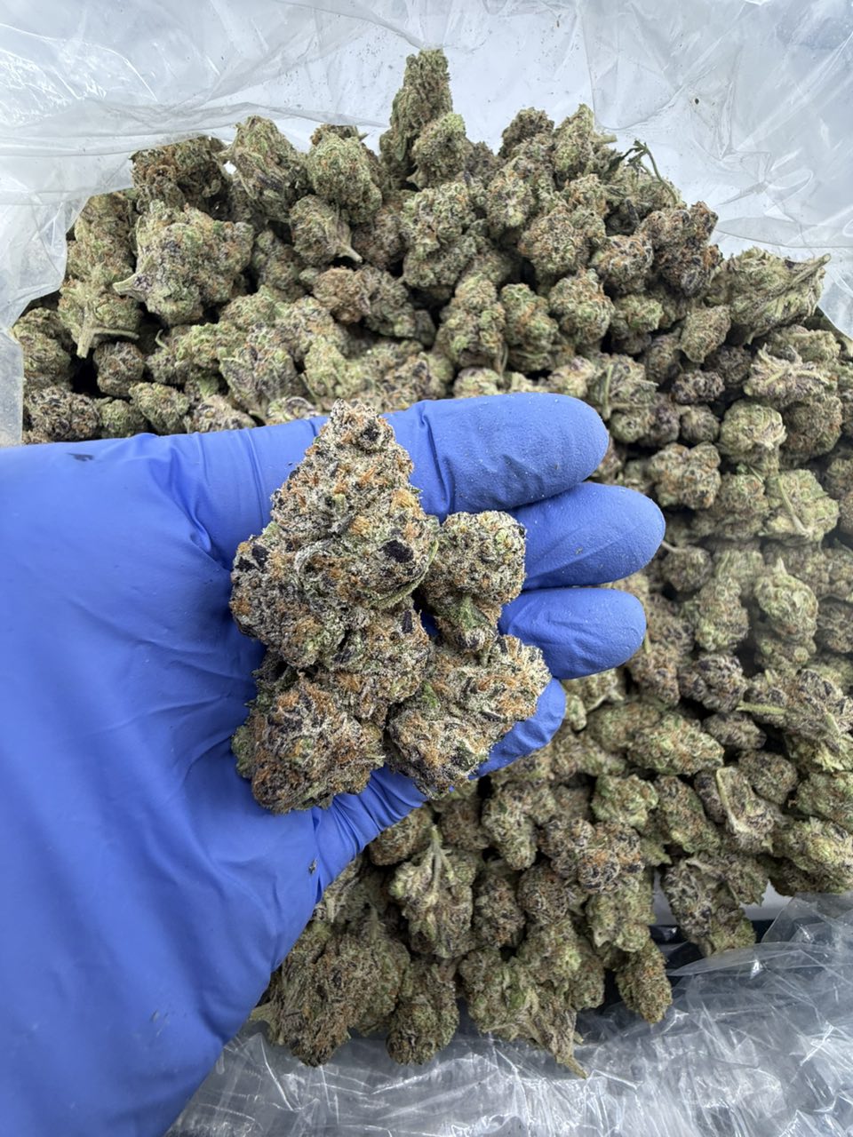 Peanut Butter Breath B